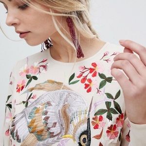 ASOS Midi Dress with Floral and Bird Embroidery